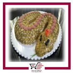 الویه دیسی با دیزاین مار
